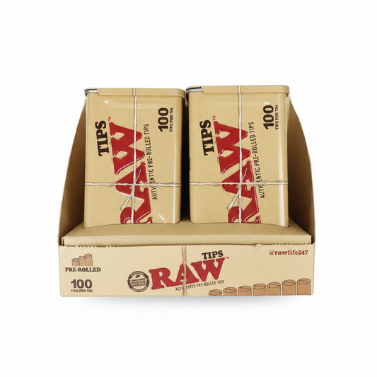 RAW Tips Display Box – Top Down