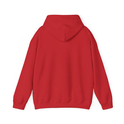 Waveform Rainbow Hoodie — Colorful Soundwave Graphic Sweatshirt