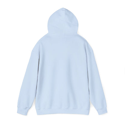 Waveform Rainbow Hoodie — Colorful Soundwave Graphic Sweatshirt