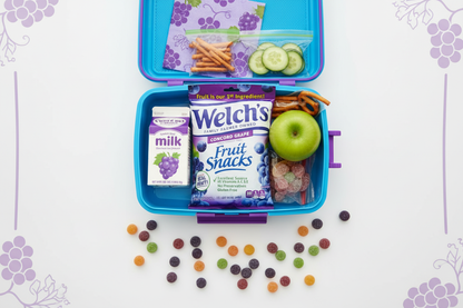 Welch's Concord Grape Fruit Snacks — 5 oz Bag
