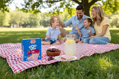Summer Picnic